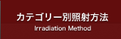 カテゴリー別照射方法