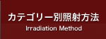 カテゴリー別照射方法