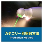 カテゴリー別照射方法