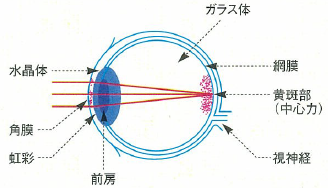 図１